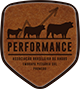 Performance